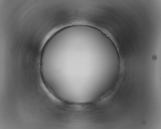 X0000111611005200907311134