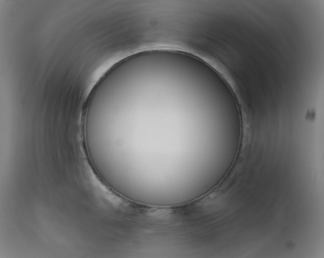 X0000111611006200907311134