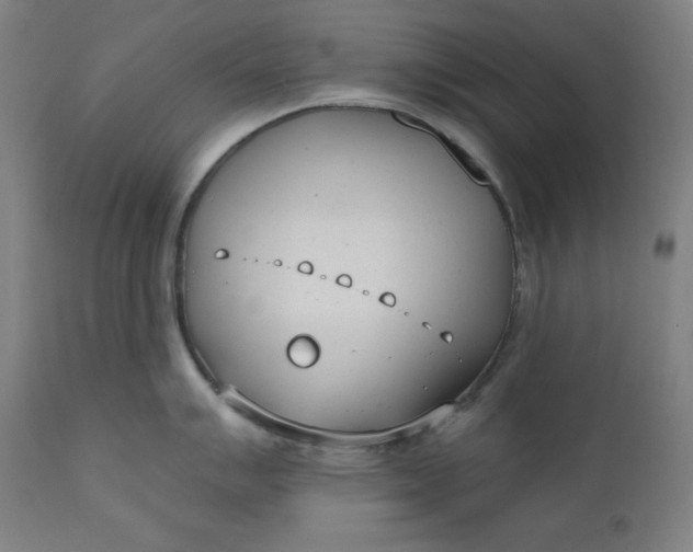 X0000111611007200907311134