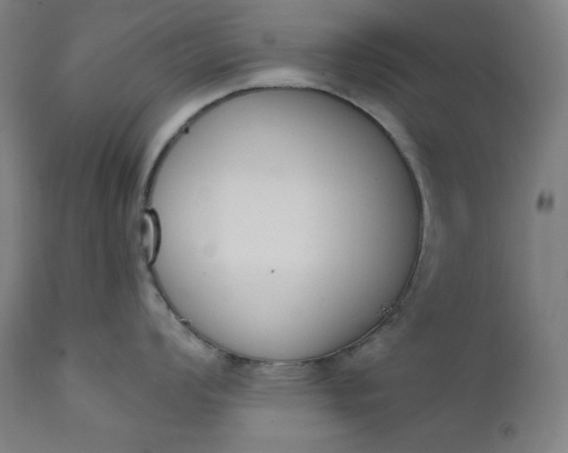 X0000111611008200907311134