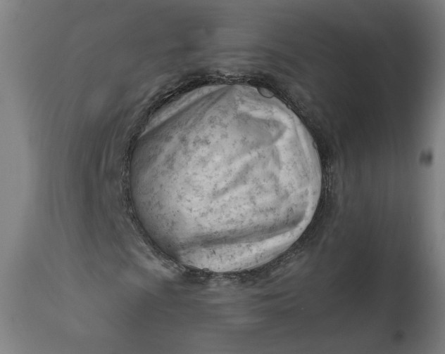 X0000111611009200907311134
