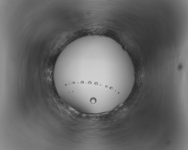 X0000111611010200907311134