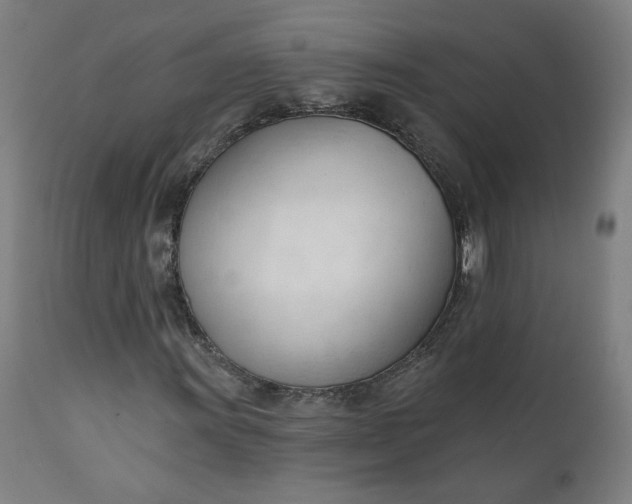 X0000111611011200907311134