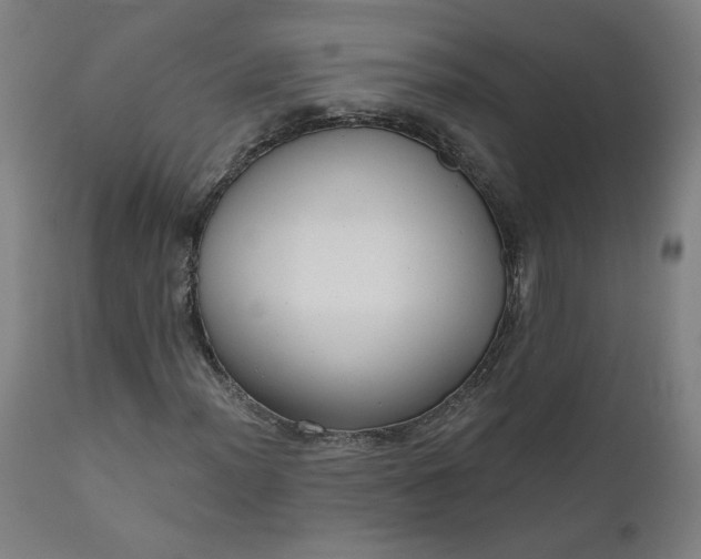 X0000111611012200907311134