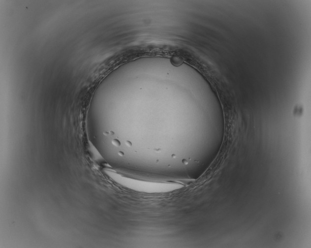 X0000111611013200907311134