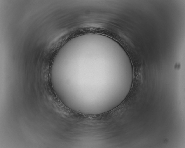 X0000111611014200907311134