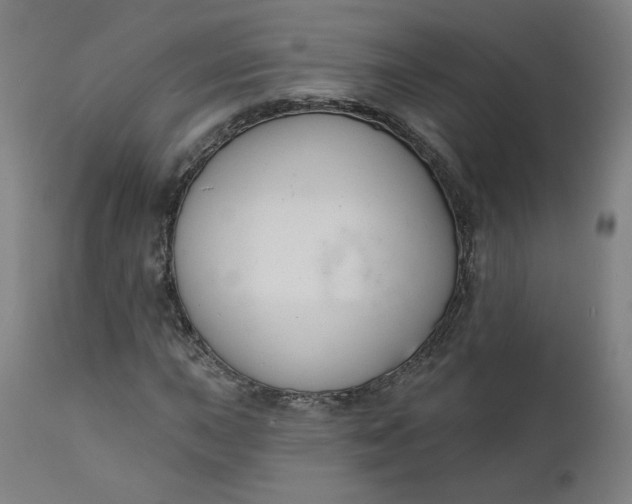 X0000111611015200907311134