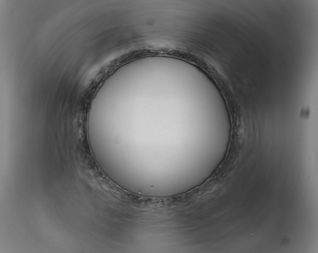 X0000111611016200907311134