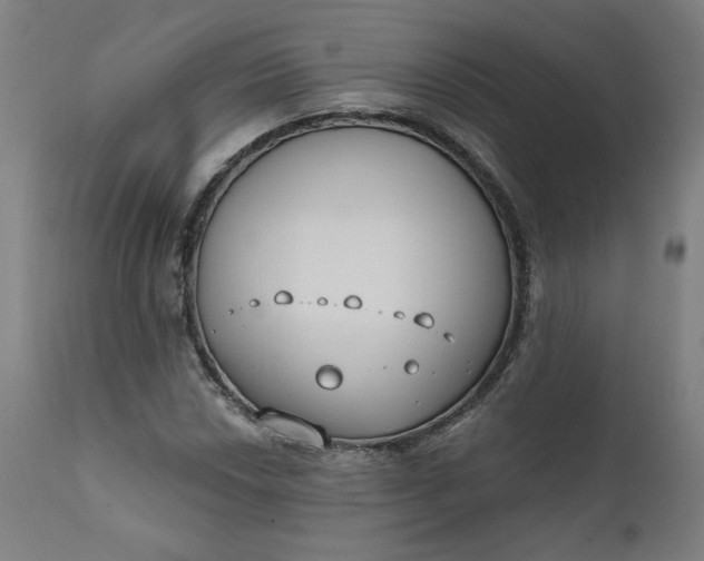 X0000111611018200907311134