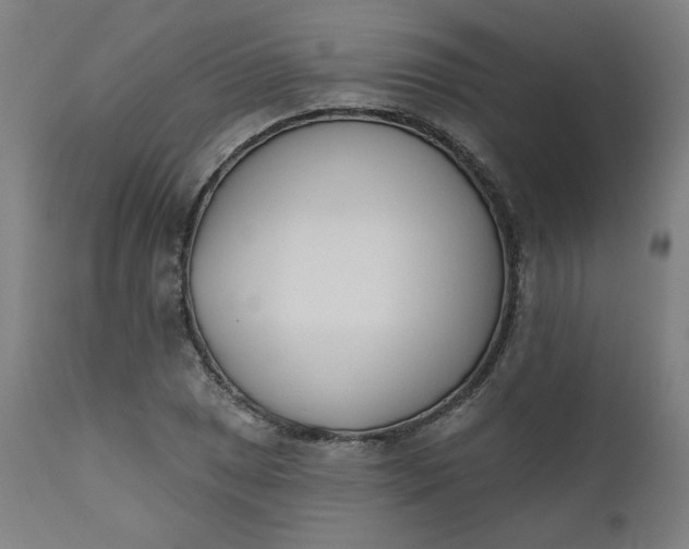 X0000111611025200907311134
