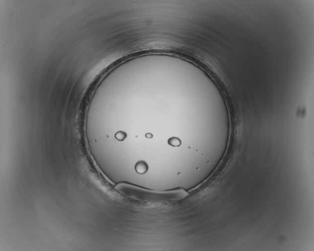 X0000111611026200907311134