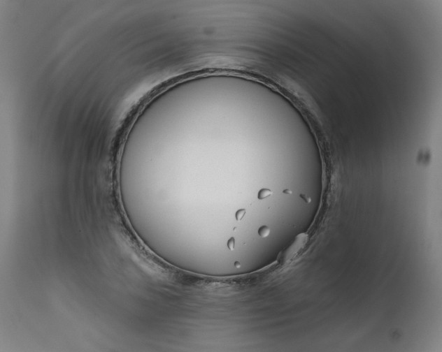 X0000111611027200907311134