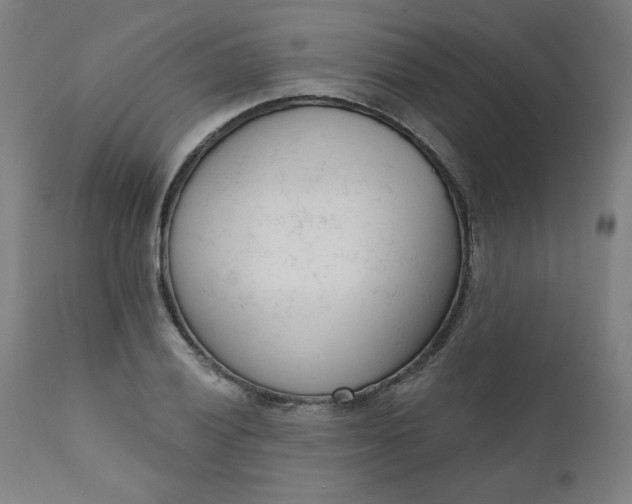 X0000111611028200907311134