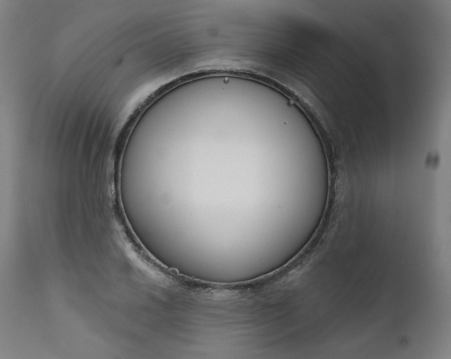 X0000111611030200907311134
