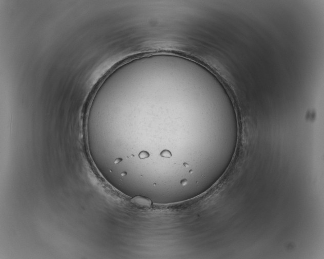 X0000111611031200907311134