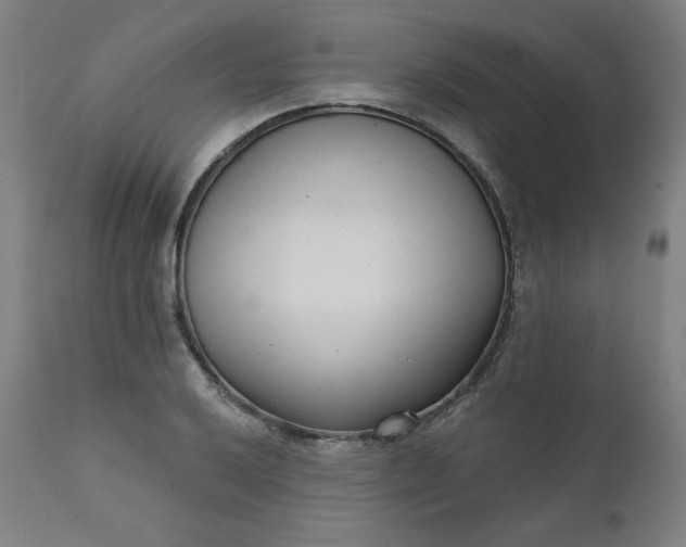 X0000111611032200907311134