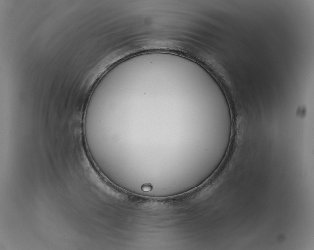 X0000111611033200907311134