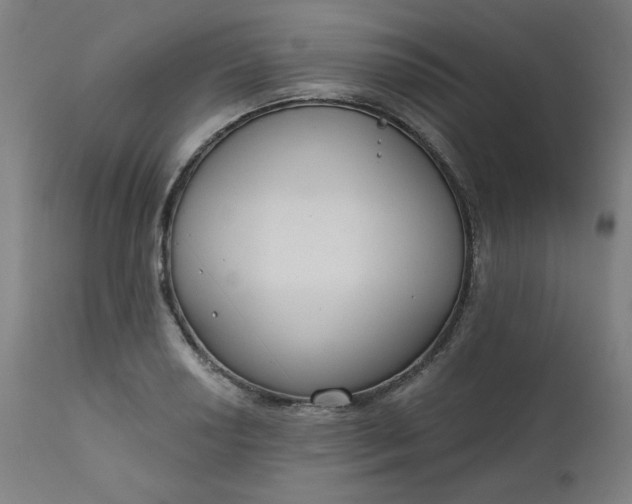 X0000111611034200907311134