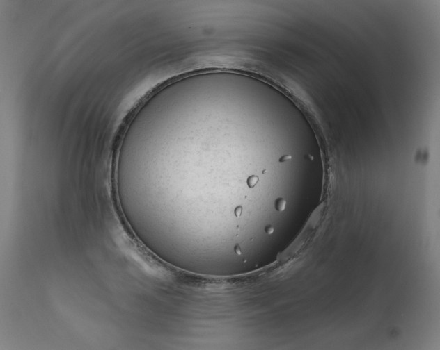 X0000111611035200907311134