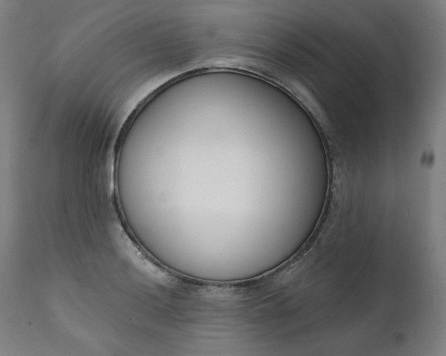 X0000111611036200907311134