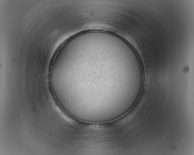 X0000111611037200907311134