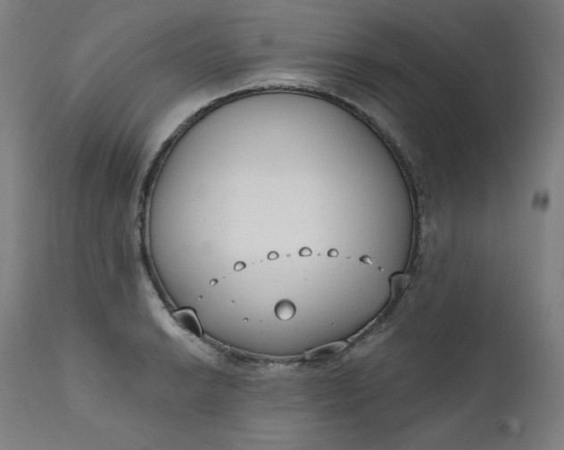 X0000111611038200907311134