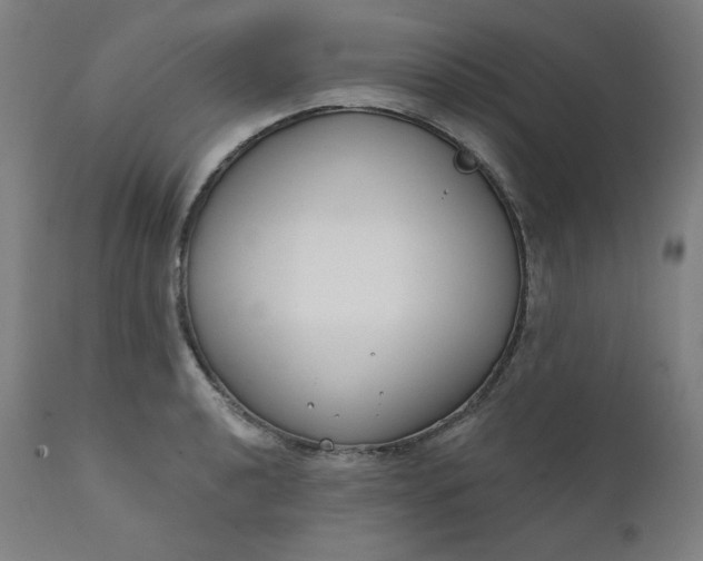 X0000111611040200907311134