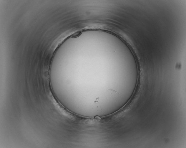 X0000111611041200907311134