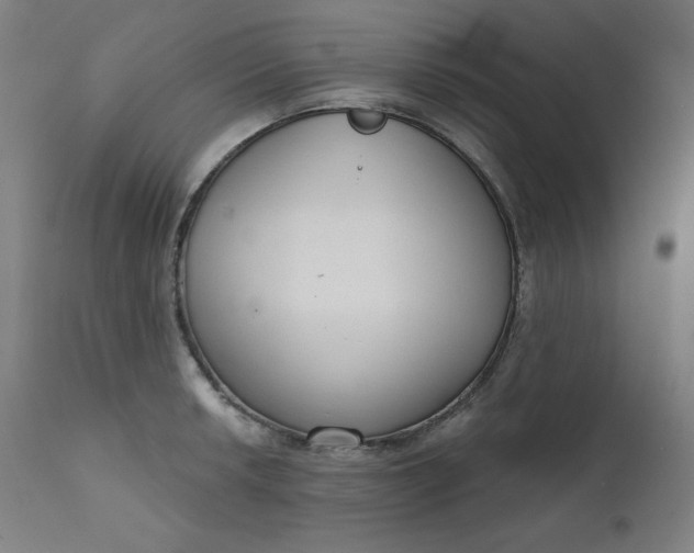X0000111611042200907311134