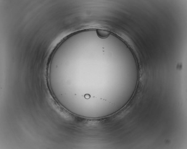 X0000111611043200907311134