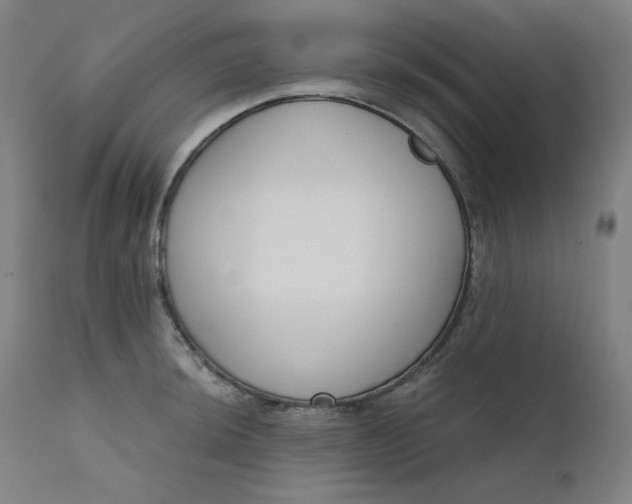 X0000111611044200907311134