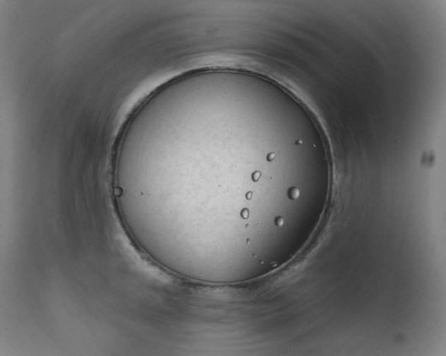 X0000111611045200907311134