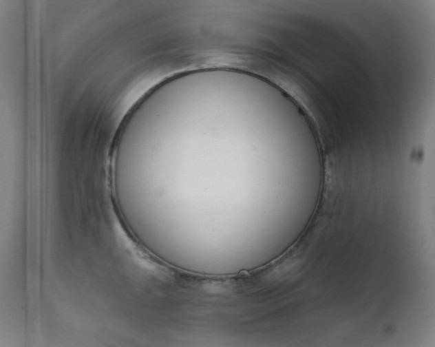 X0000111611047200907311134