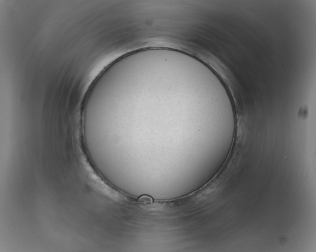 X0000111611048200907311134