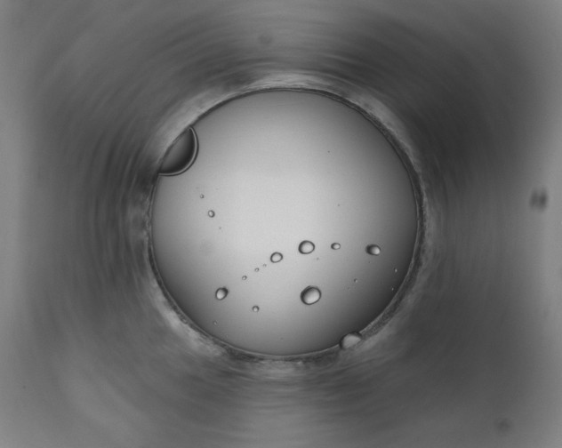 X0000111611049200907311134