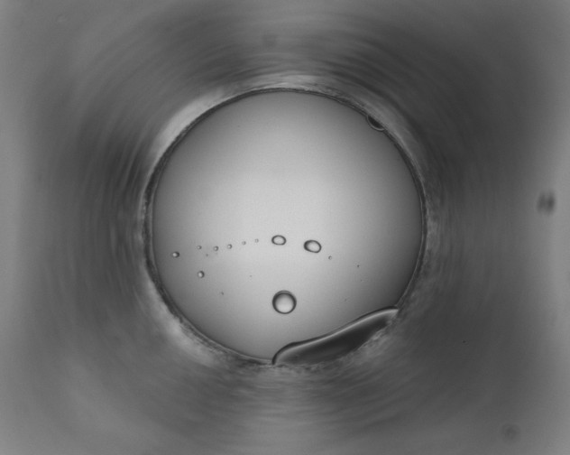 X0000111611050200907311134