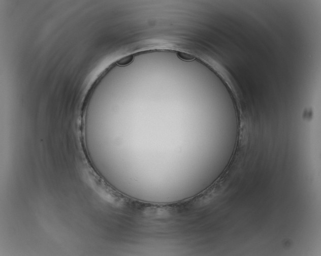 X0000111611051200907311134