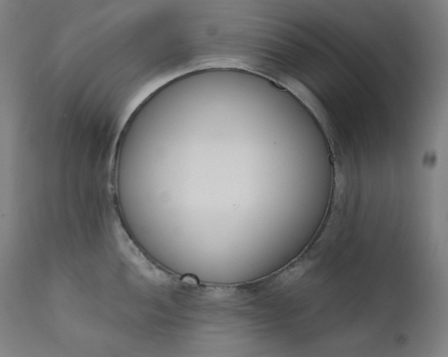 X0000111611052200907311134