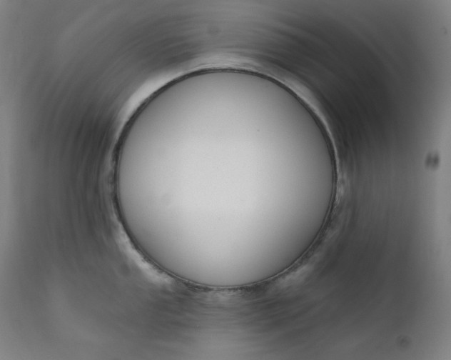 X0000111611053200907311134