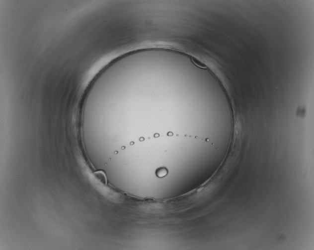 X0000111611054200907311134