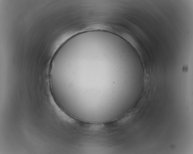 X0000111611055200907311134