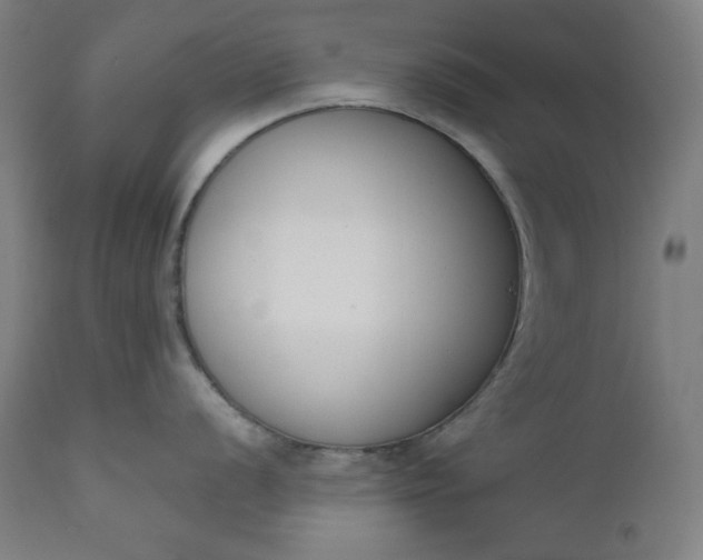 X0000111611056200907311134