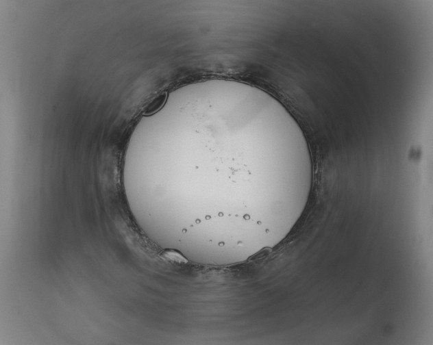 X0000111611058200907311134