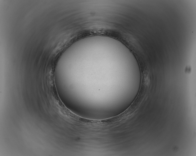 X0000111611060200907311134