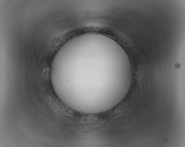 X0000111611061200907311134