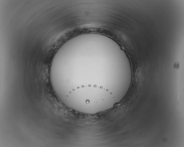 X0000111611062200907311134