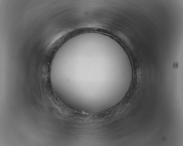 X0000111611064200907311134