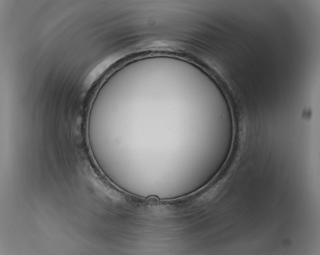 X0000111611066200907311134