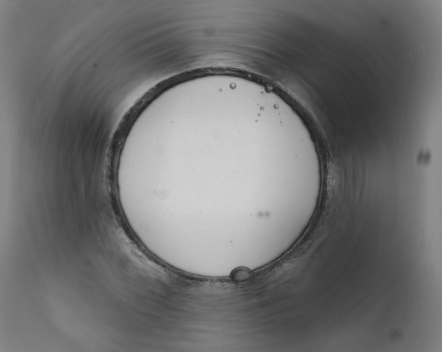 X0000111611068200907311134