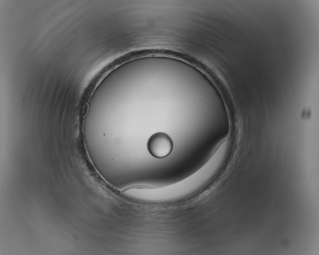 X0000111611069200907311134